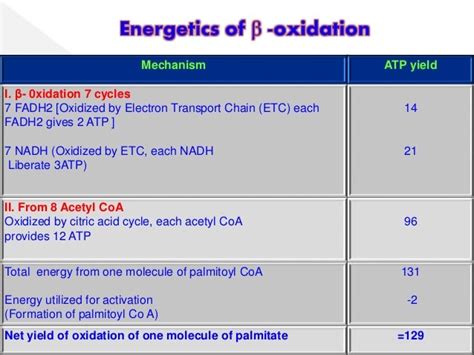 Beta Oxidation Steps: Activation to Energy Yield.